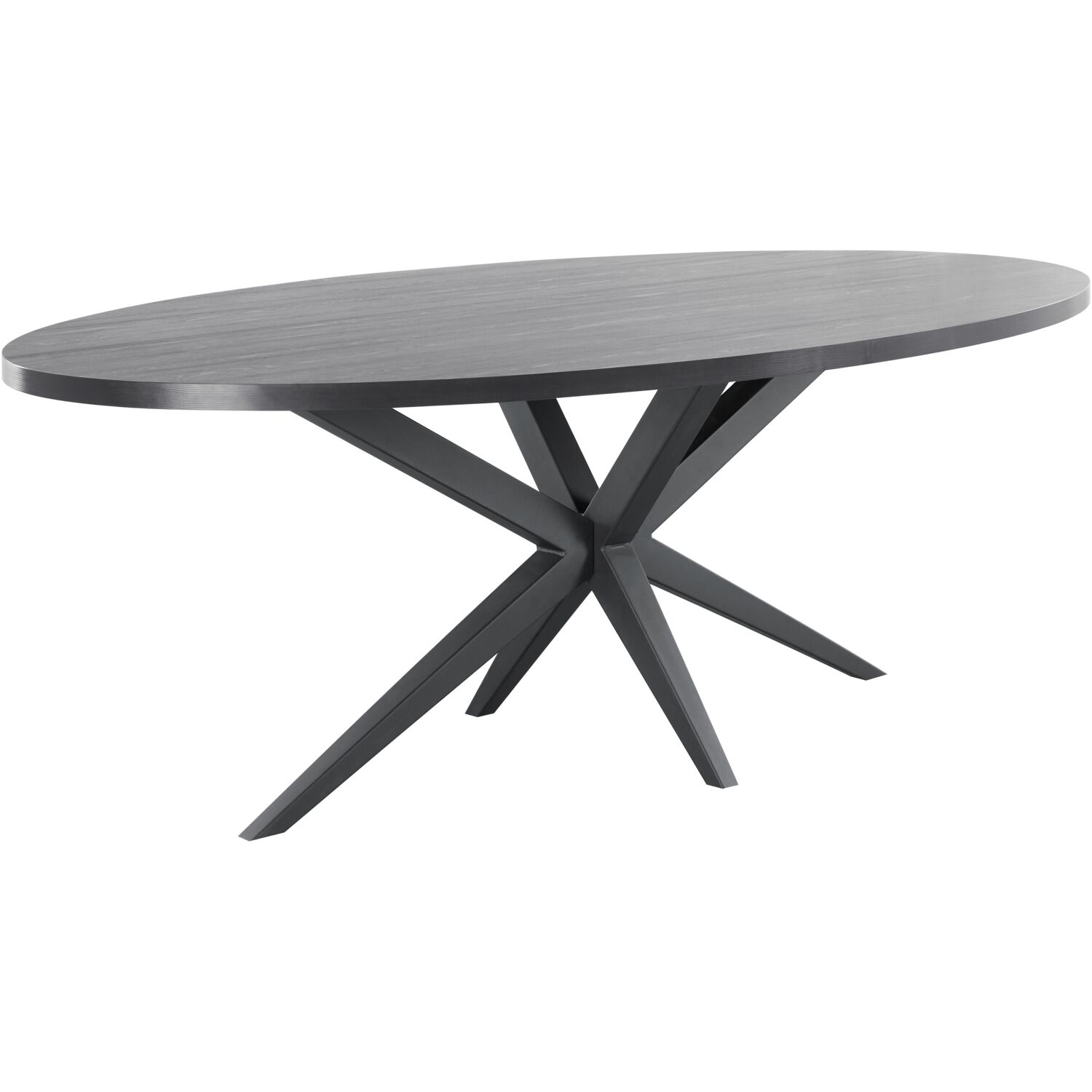 Eettafel Mascaro ovaal 220 x 120 cm