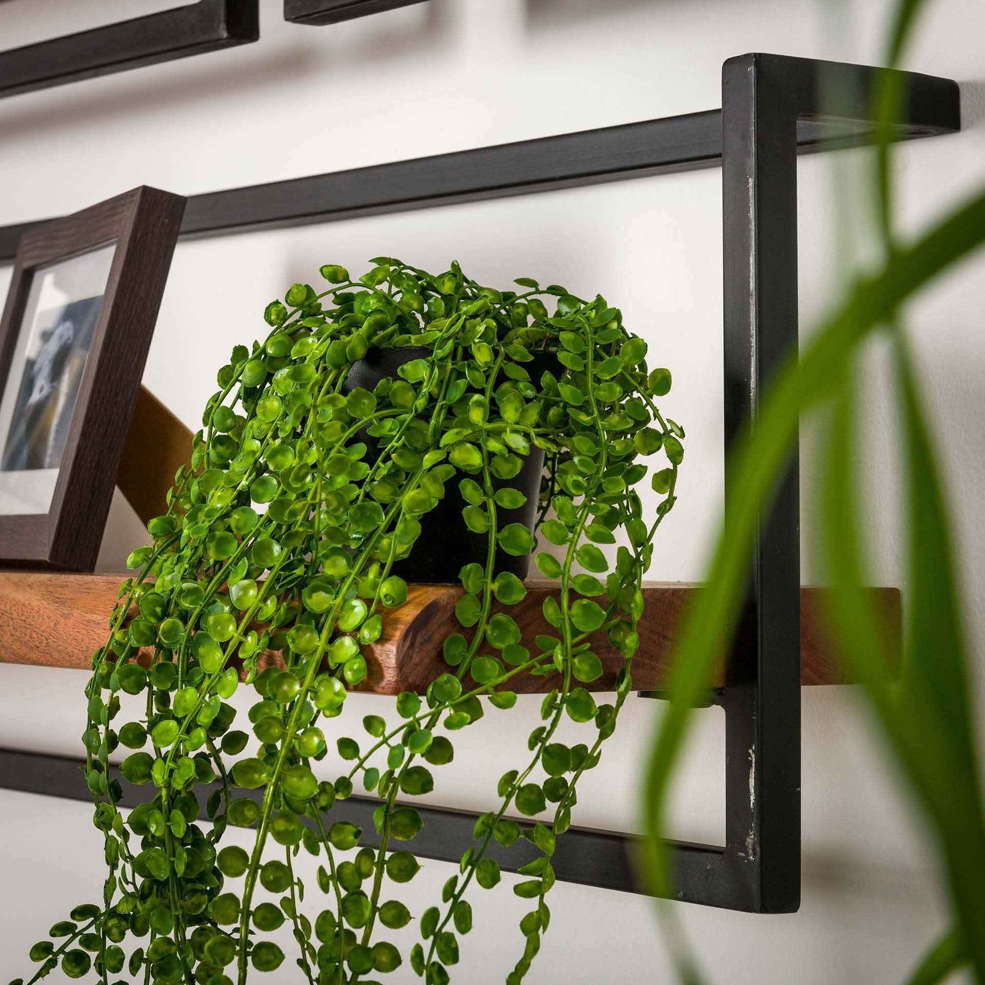 Wandplank edge 65cm / Massief acacia naturel