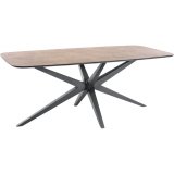 Eettafel Ranea deens ovaal 200 x 103