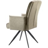 Armstoel Brooks turtle